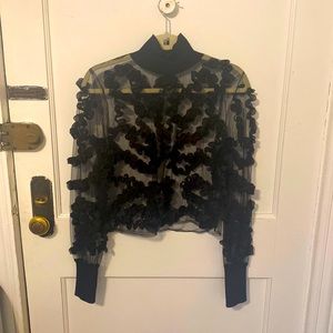 Zara black mesh see through Turtleneck